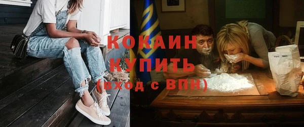мяу мяу мука Бородино